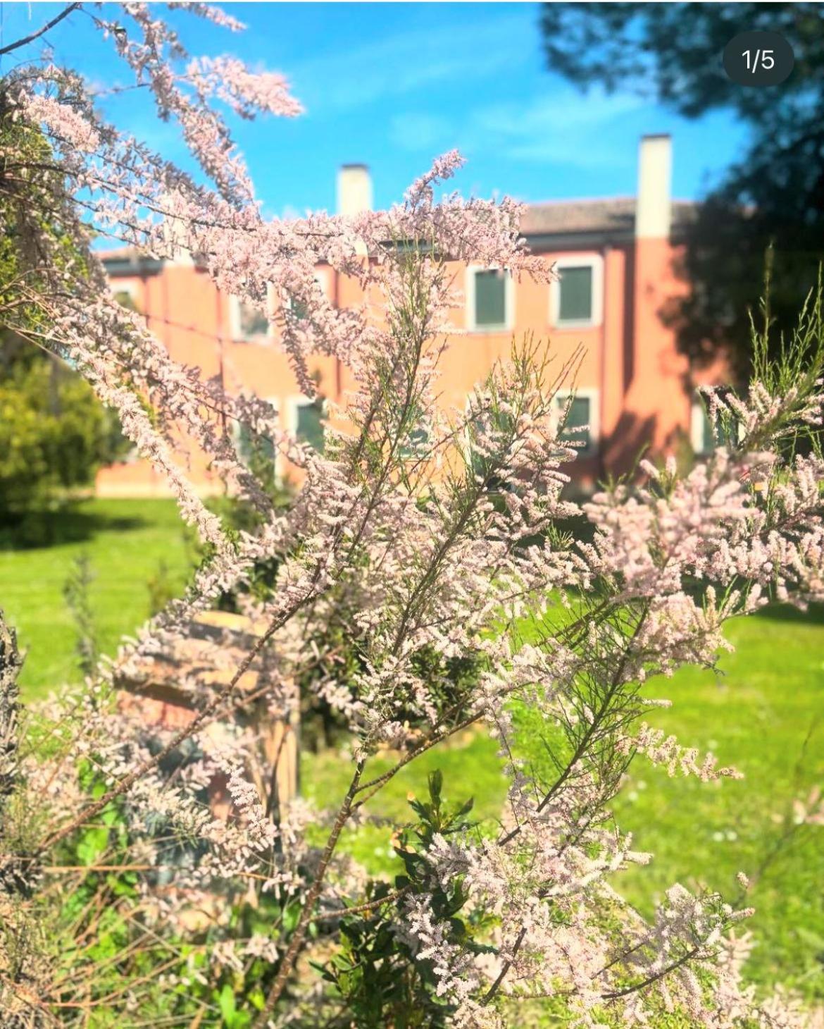 Agriturismo Ca' Bonelli 1924 Scardovari المظهر الخارجي الصورة